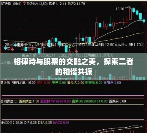 格律詩與股票的交融之美，探索二者的和諧共振