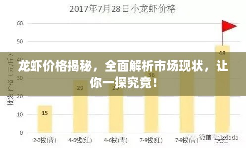 龍蝦價格揭秘，全面解析市場現(xiàn)狀，讓你一探究竟！