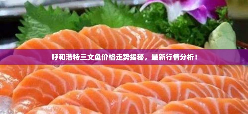 呼和浩特三文魚價格走勢揭秘，最新行情分析！