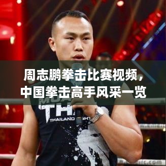 周志鵬拳擊比賽視頻，中國(guó)拳擊高手風(fēng)采一覽