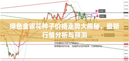 綠色金銀花種子價(jià)格走勢大揭秘，最新行情分析與預(yù)測