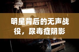 明星背后的無聲戰(zhàn)役，尿毒癥陰影下的星光挑戰(zhàn)
