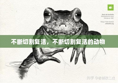 不斷切割復(fù)活，不斷切割復(fù)活的動(dòng)物 
