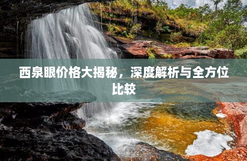 西泉眼價(jià)格大揭秘，深度解析與全方位比較
