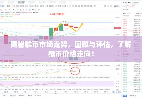 揭秘猴幣市場走勢，回顧與評估，了解猴幣價格走向！