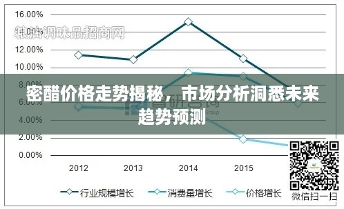 密醋價格走勢揭秘，市場分析洞悉未來趨勢預測