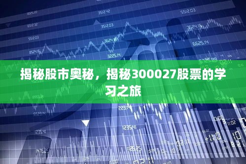 揭秘股市奧秘，揭秘300027股票的學(xué)習(xí)之旅