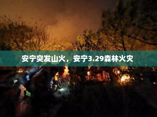 安寧突發(fā)山火，安寧3.29森林火災 