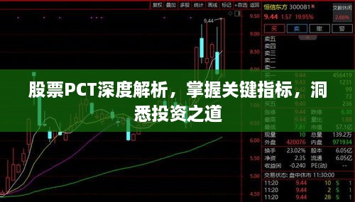 股票P(pán)CT深度解析，掌握關(guān)鍵指標(biāo)，洞悉投資之道