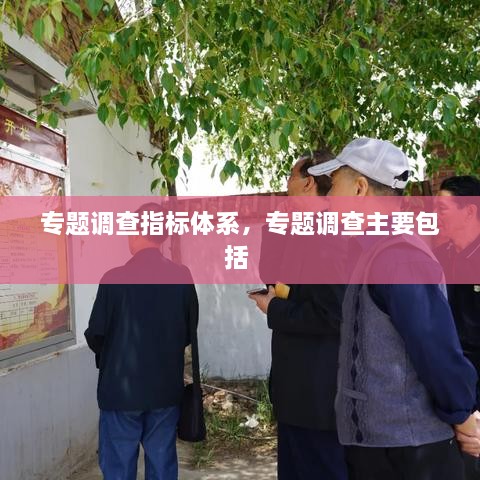 專題調(diào)查指標(biāo)體系，專題調(diào)查主要包括 