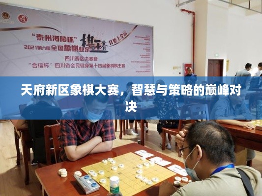 天府新區(qū)象棋大賽，智慧與策略的巔峰對決
