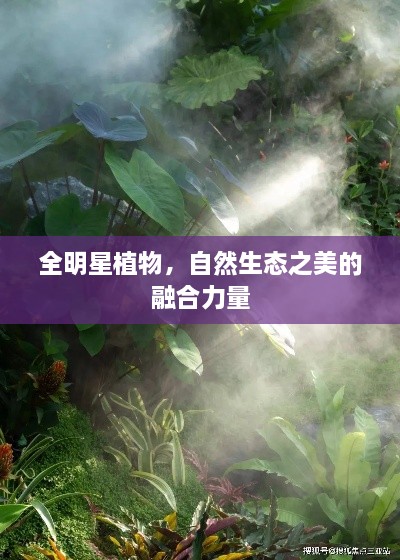 全明星植物，自然生態(tài)之美的融合力量