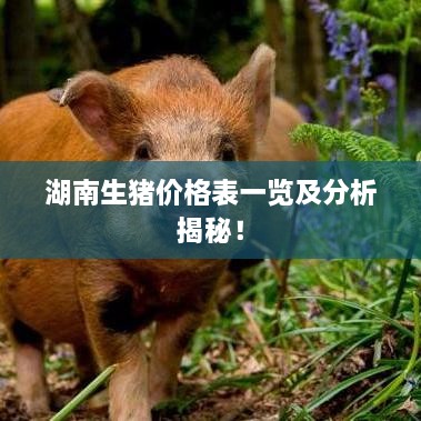 湖南生豬價(jià)格表一覽及分析揭秘！