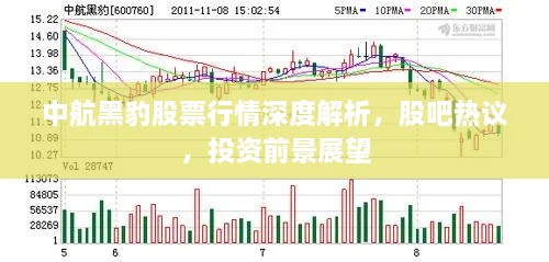 中航黑豹股票行情深度解析，股吧熱議，投資前景展望