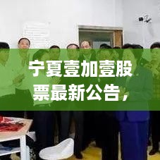寧夏壹加壹股票最新公告，重磅消息揭秘，投資者不容錯(cuò)過！
