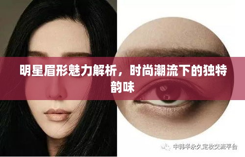 明星眉形魅力解析，時(shí)尚潮流下的獨(dú)特韻味
