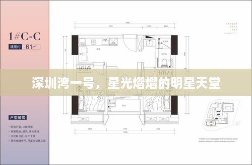 深圳灣一號，星光熠熠的明星天堂