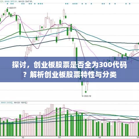 探討，創(chuàng)業(yè)板股票是否全為300代碼？解析創(chuàng)業(yè)板股票特性與分類