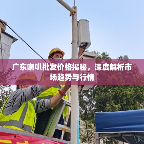 廣東喇叭批發(fā)價格揭秘，深度解析市場趨勢與行情