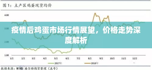 疫情后雞蛋市場行情展望，價格走勢深度解析