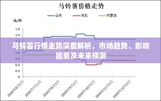 馬鈴薯行情走勢深度解析，市場趨勢、影響因素及未來預測