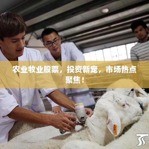 農(nóng)業(yè)牧業(yè)股票，投資新寵，市場(chǎng)熱點(diǎn)聚焦！