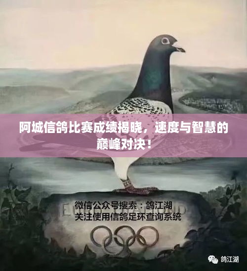 阿城信鴿比賽成績(jī)揭曉，速度與智慧的巔峰對(duì)決！