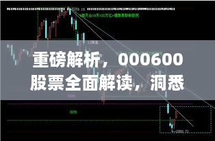 重磅解析，000600股票全面解讀，洞悉投資趨勢(shì)！