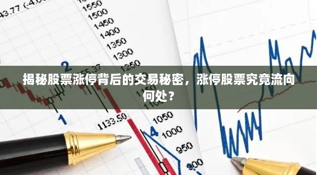 揭秘股票漲停背后的交易秘密，漲停股票究竟流向何處？