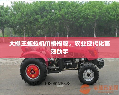 大棚王拖拉機(jī)價(jià)格揭秘，農(nóng)業(yè)現(xiàn)代化高效助手
