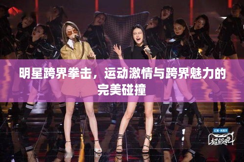 明星跨界拳擊，運(yùn)動(dòng)激情與跨界魅力的完美碰撞
