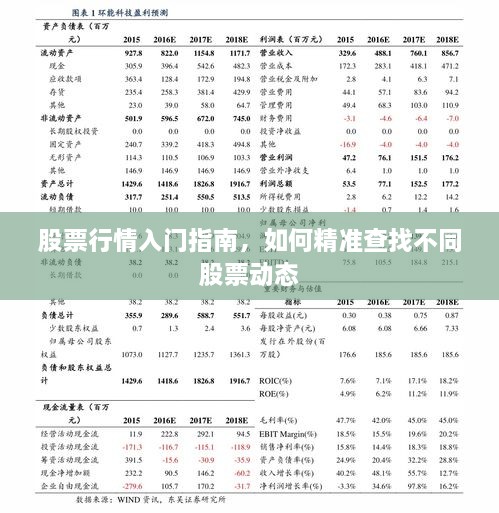 股票行情入門指南，如何精準(zhǔn)查找不同股票動(dòng)態(tài)