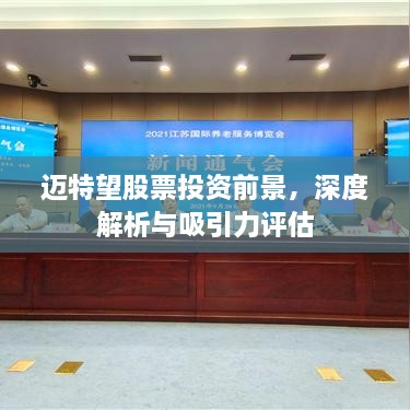 邁特望股票投資前景，深度解析與吸引力評(píng)估