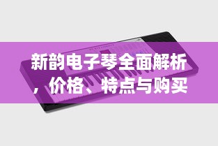 新韻電子琴全面解析，價(jià)格、特點(diǎn)與購買建議