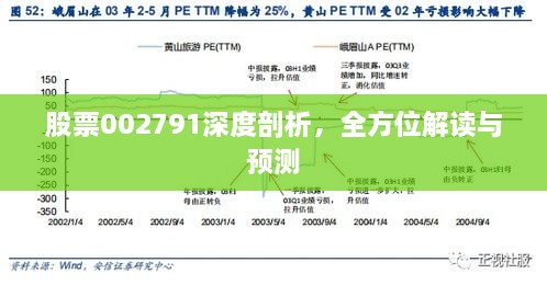 股票002791深度剖析，全方位解讀與預(yù)測(cè)