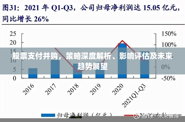 股票支付并購(gòu)，策略深度解析、影響評(píng)估及未來趨勢(shì)展望