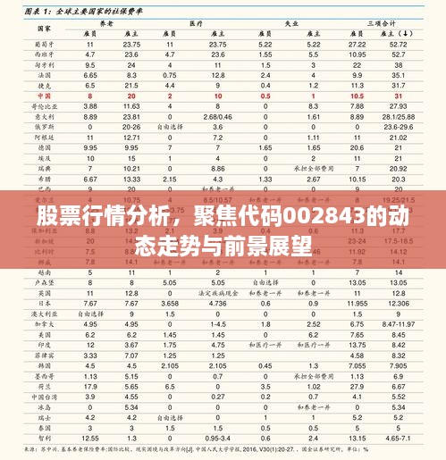 股票行情分析，聚焦代碼002843的動(dòng)態(tài)走勢與前景展望