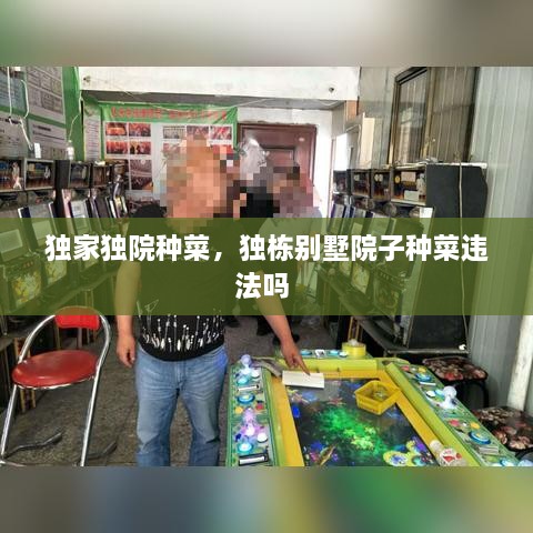 獨家獨院種菜，獨棟別墅院子種菜違法嗎 