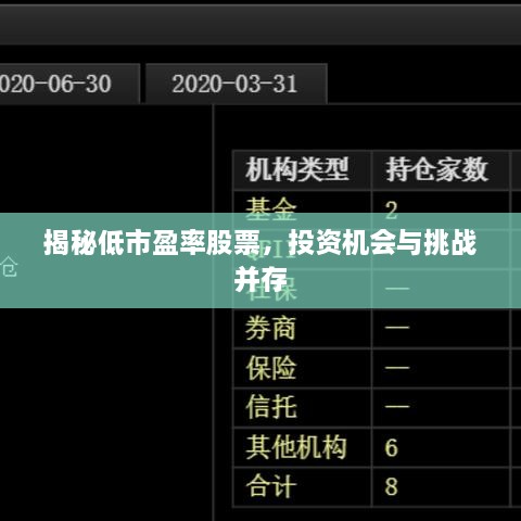 揭秘低市盈率股票，投資機(jī)會(huì)與挑戰(zhàn)并存