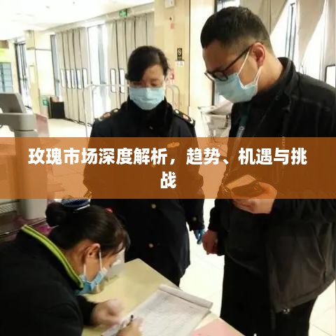 玫瑰市場(chǎng)深度解析，趨勢(shì)、機(jī)遇與挑戰(zhàn)