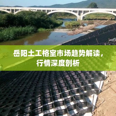 岳陽土工格室市場趨勢解讀，行情深度剖析