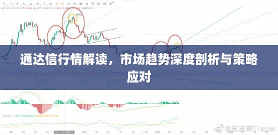 通達(dá)信行情解讀，市場趨勢(shì)深度剖析與策略應(yīng)對(duì)