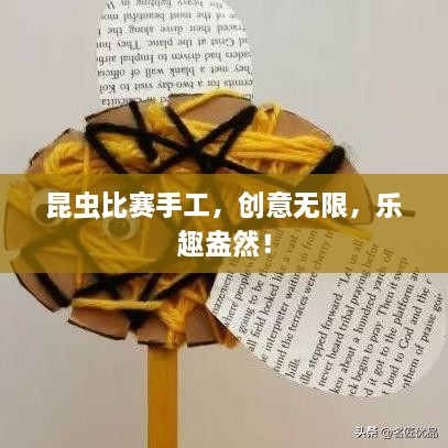 昆蟲比賽手工，創(chuàng)意無限，樂趣盎然！