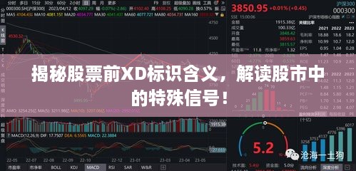 揭秘股票前XD標(biāo)識(shí)含義，解讀股市中的特殊信號(hào)！