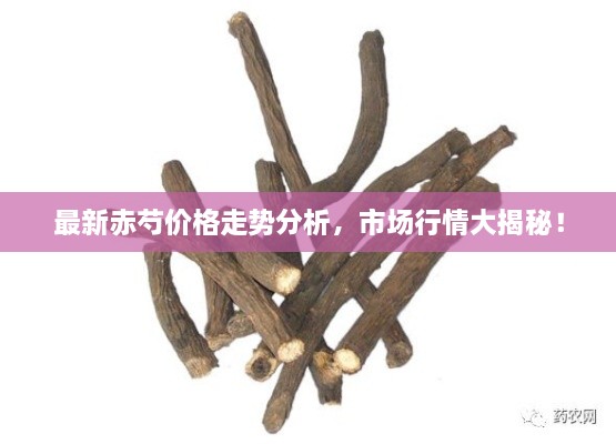 最新赤芍價格走勢分析，市場行情大揭秘！