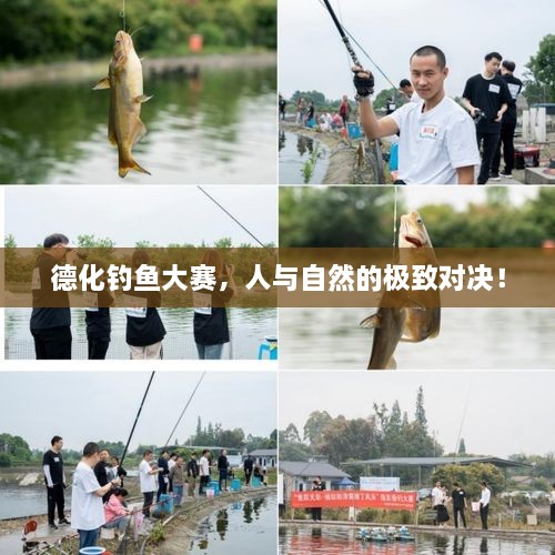 德化釣魚大賽，人與自然的極致對決！