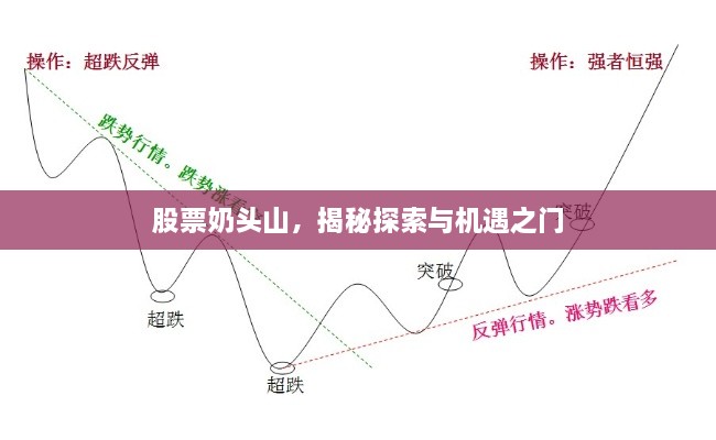 股票奶頭山，揭秘探索與機(jī)遇之門