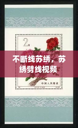 不斷線蘇繡，蘇繡劈線視頻 