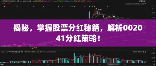 揭秘，掌握股票分紅秘籍，解析002041分紅策略！