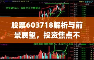 股票603718解析與前景展望，投資焦點(diǎn)不容錯(cuò)過(guò)